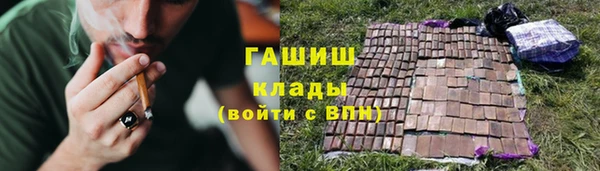 гидра Алексин