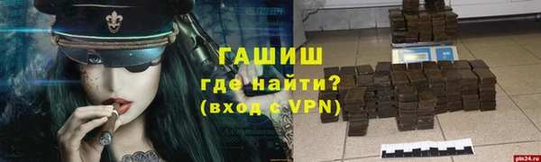 гашик Алексеевка