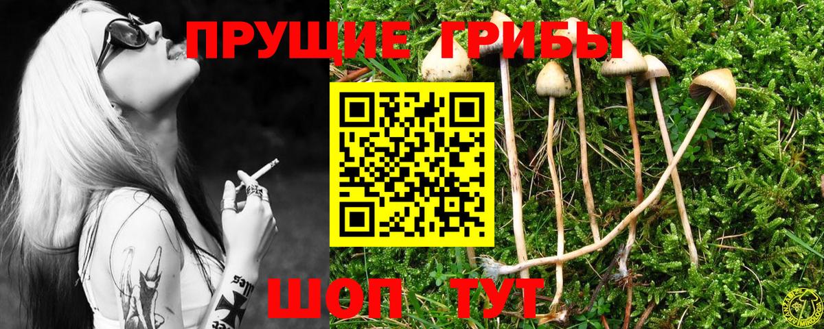 Галлюциногенные грибы прущие грибы Карпинск