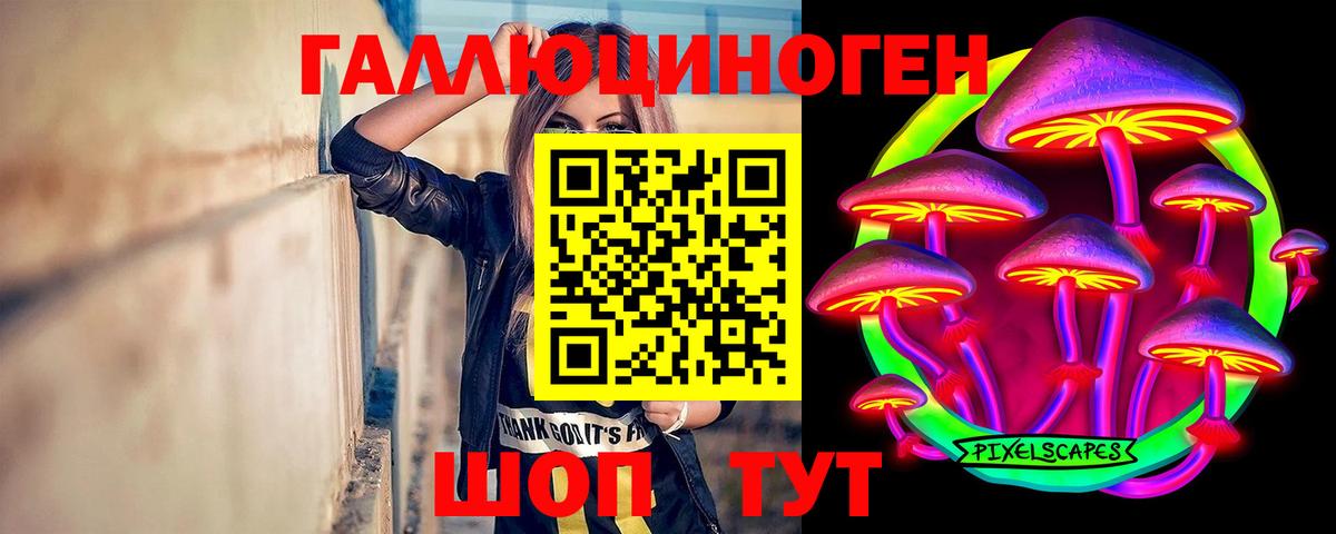 Галлюциногенные грибы Cubensis  Вход с VPN  Карпинск 